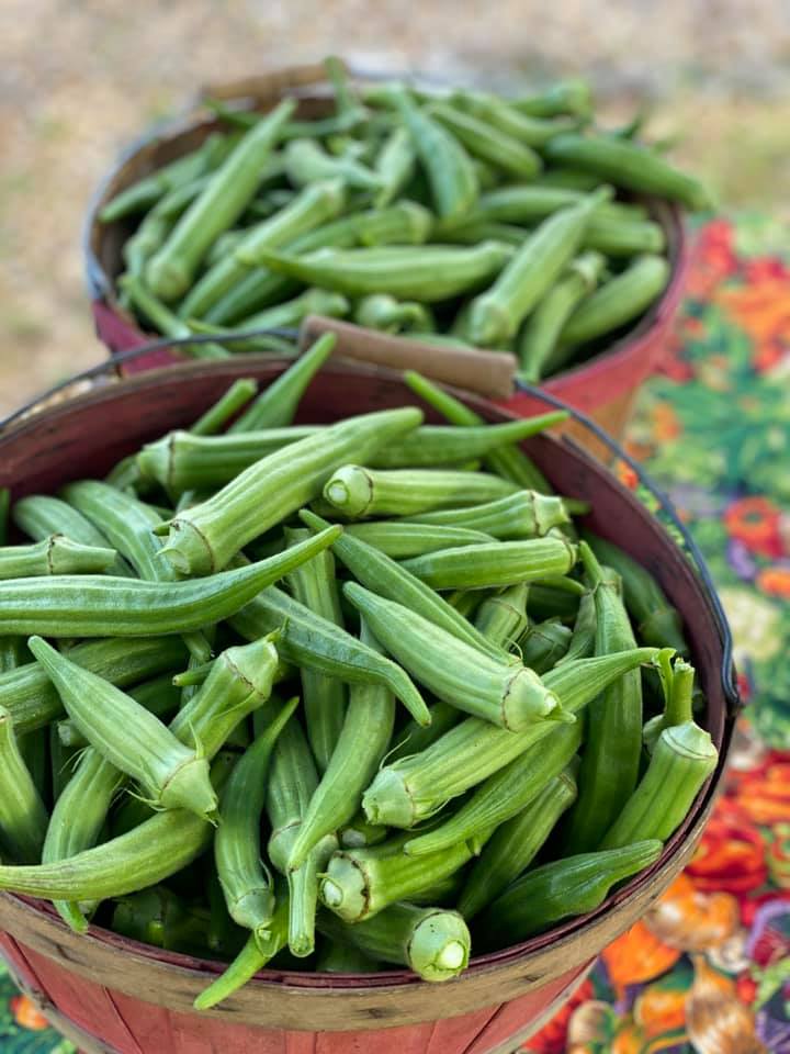 Okra SHjpg